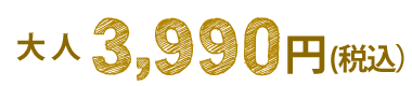大人3,900円(税込)